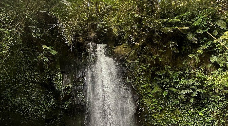 Bayad Waterfall Hidden Gems In Ubud, Bali