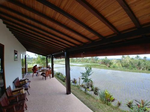 Kubu D’Ume Homestay Jatiluwih Pengalaman Menginap di Kampung