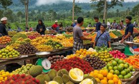 Mengenal Pasar Buah Candi kuning di Bedugul Bali Yang Unik