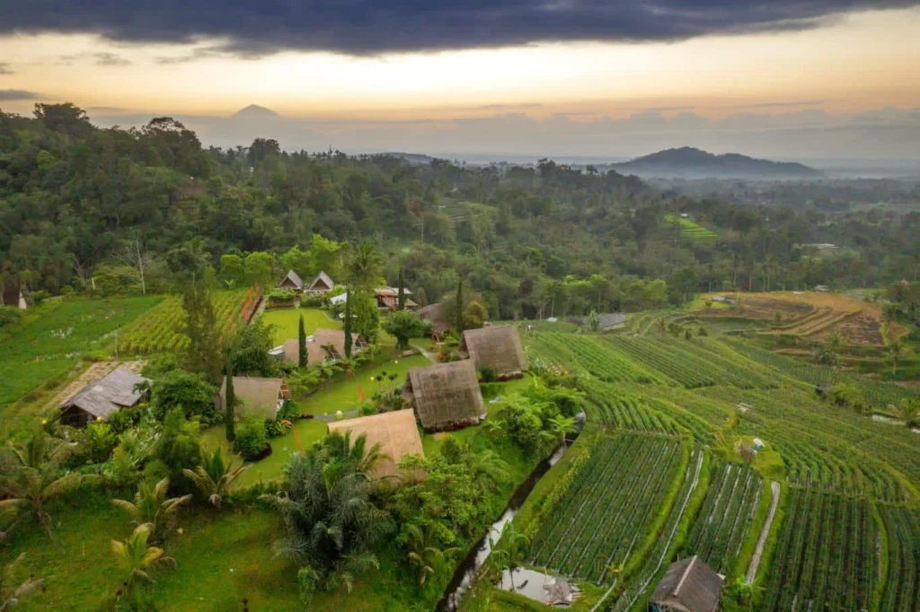 Villa Teratai Jatiluwih