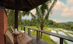 Villa Teratai Jatiluwih: Penginapan Nyaman Bernuansa Alam di Bali